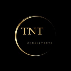 TNT Solutions logo