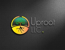 Avatar for IronWebb Property Services