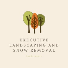 Logo for EXECUTIVE LANDSCAPE AND SNOW REMOVAL L.L.C.