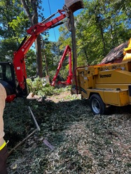 Axmen Tree Service logo