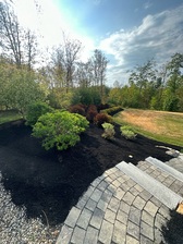 Williams Landscaping logo