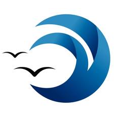 Logo for Blue Wave Power Washing