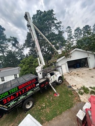 Boom Tree Services logo