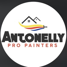 Logo for Antonelly Pro Painters LLC