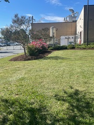 JLS Lawncare Inc logo