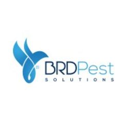 BRD Pest Solutions LLC logo