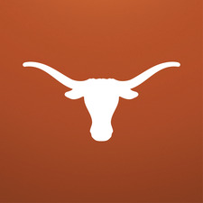 Palm Construction & Development Texas Inc logo