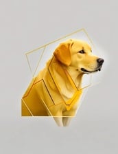 Avatar for Yellow Dog Line Striping