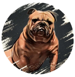 Bulldawg Plumbing, LLC logo