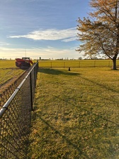 Logo for Shepherds Fencing