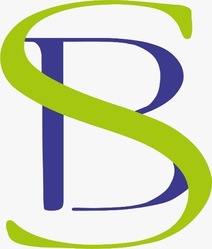 Solid Building LLC logo