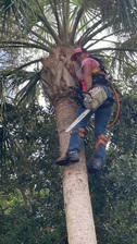 Avatar for E&J Landscape and Tree Service LLC