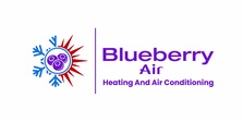 Avatar for Blueberry Air