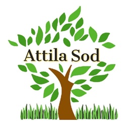 Attila Sod logo