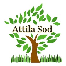Avatar for Attila Sod