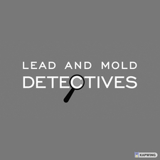 Logo for Lead and Mold Detectives