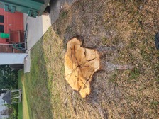 Avatar for J & R Stump Grinding LLC