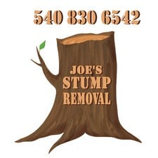 Avatar for Shokovs Stump Removal