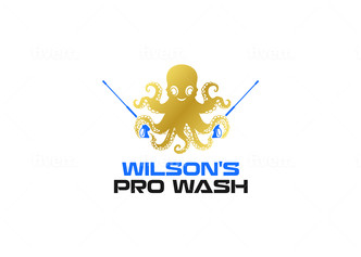 Wilson's Pressure Wash and Cleaning Solutions, LLC logo