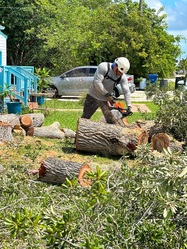 Lower Keys Tree Services LLC logo