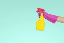 Avatar for Immaculate Professional Cleaning