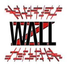Logo for Wallz Inc