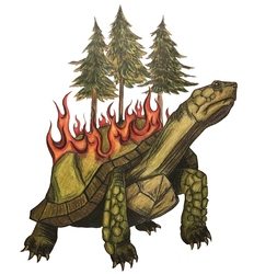 Terrapin Defensible Space logo