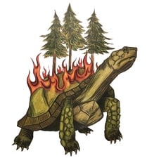 Avatar for Terrapin Defensible Space