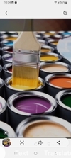 Logo for Professional Painting