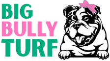 Logo for Big Bully Turf