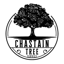 Logo for Chastain Tree Service