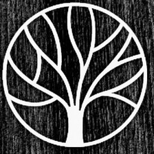 Logo for Two brothers tree service