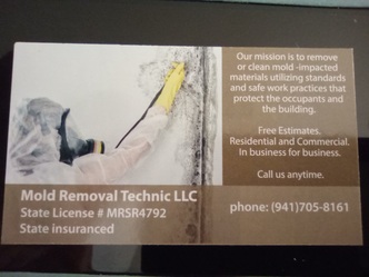 Mold Removal Technic logo