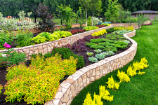 Prolawn Landscaping Services logo