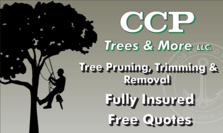 Logo for CCP Trees & More