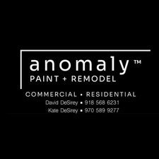 Logo for Anomaly Paint & Remodel