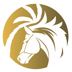 Elegant Stone Fabrication logo