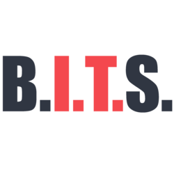 Bender Information Technology Services logo