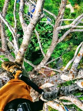 Avatar for Treet You Right Tree Care