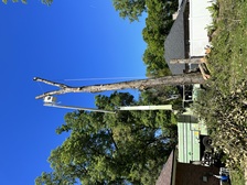 Arbor Team Tree Service logo