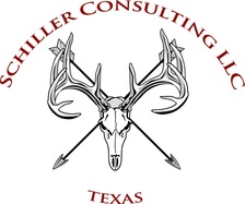 Logo for Schiller Consulting LLC