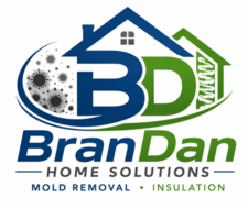 Avatar for BranDan Home Solutions