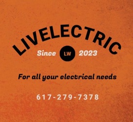 Liv Electric logo