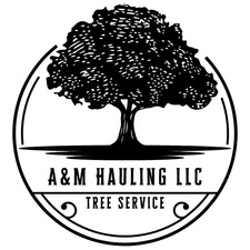 Logo for A&M Hauling
