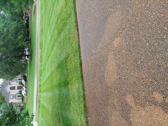 Rodriguez Landscaping Service logo