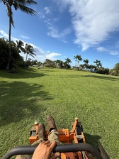 Logo for MAUI LUSH LANDSCAPING