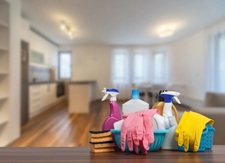 Logo for Zlata's Cleaning Service
