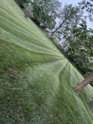 Pikes Landscaping logo