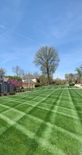 Logo for Patriot Landscaping