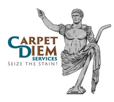 Logo for CARPET DIEM SERVICES